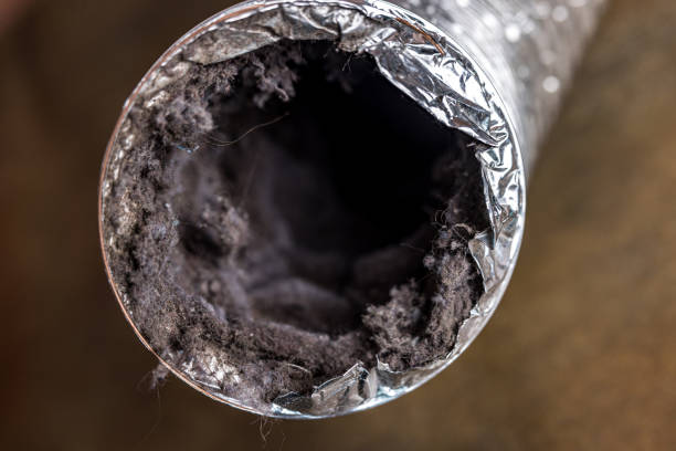 Best Professional Duct Cleaning Services  in Riverdale, CA